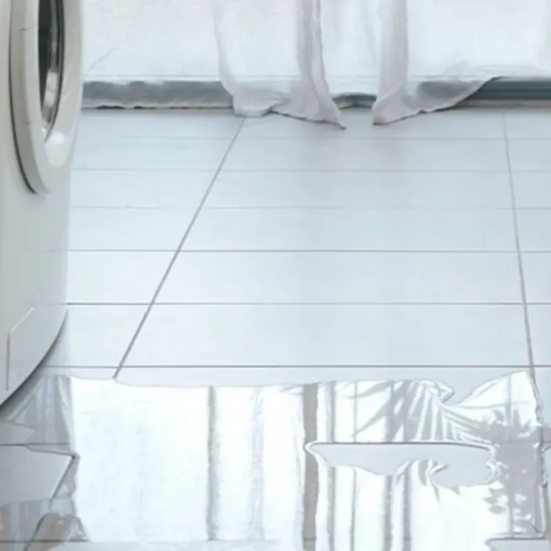 Appliance Leak Cleanup in Whitney, NV