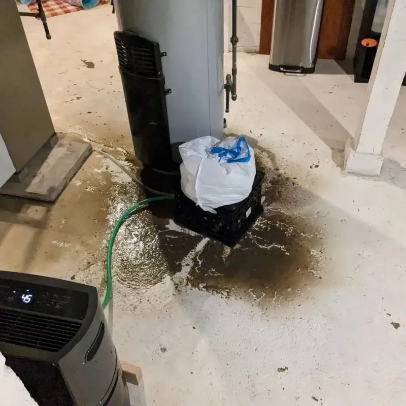 Sewage Backup Cleanup Service in Whitney, NV
